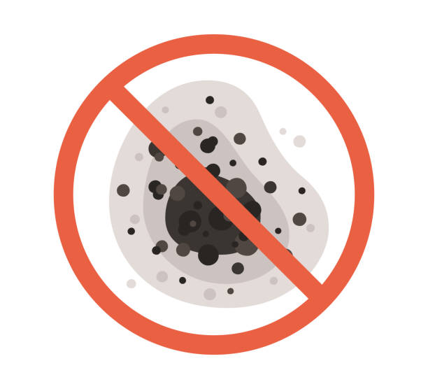 Howell, MI Mold Removal Company